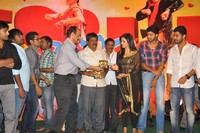 Nuvva Nena Audio Launch